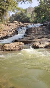 munnar