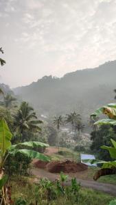 munnar