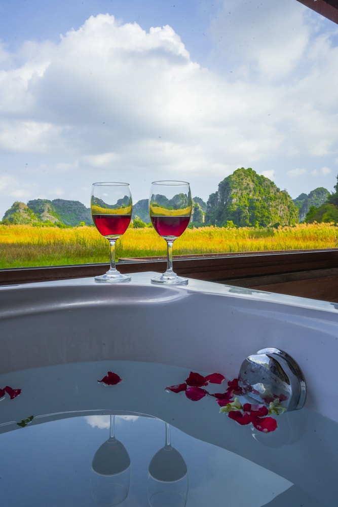lotus field homestay