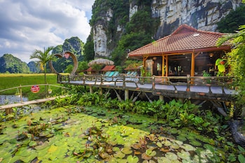 lotus field homestay