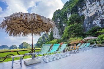 lotus field homestay