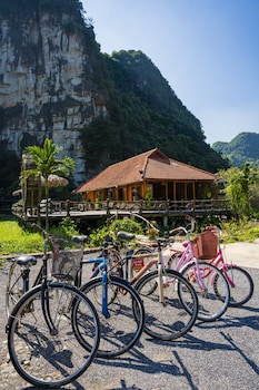 lotus field homestay