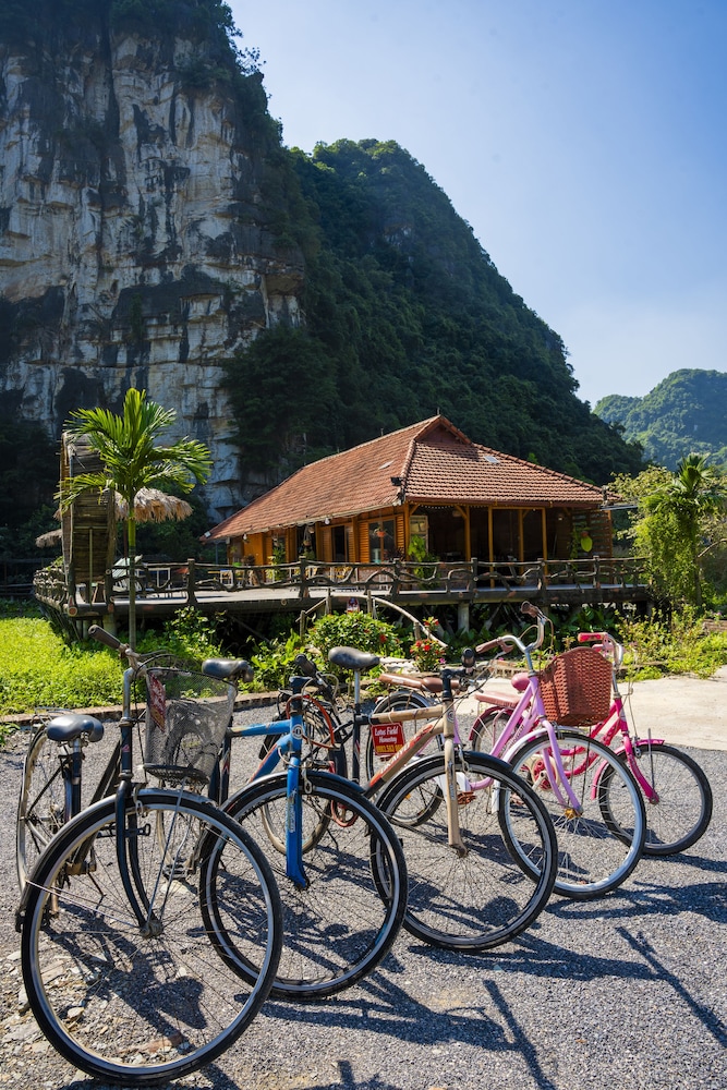 lotus field homestay