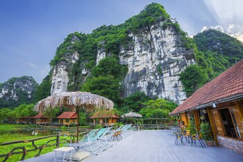 lotus field homestay