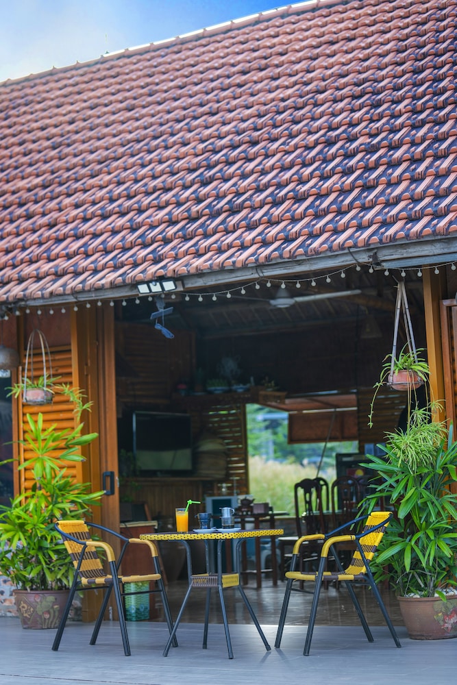 lotus field homestay