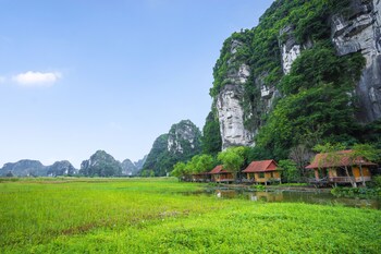 lotus field homestay