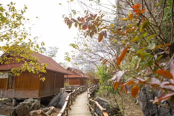 lotus field homestay