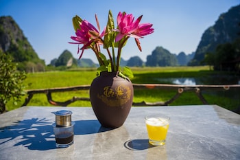 lotus field homestay