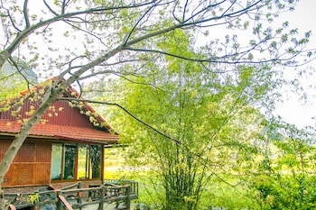 lotus field homestay