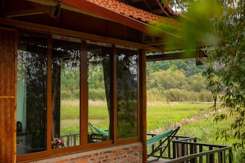 lotus field homestay