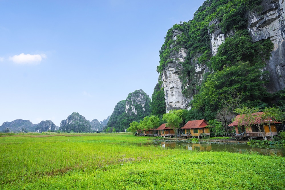 lotus field homestay