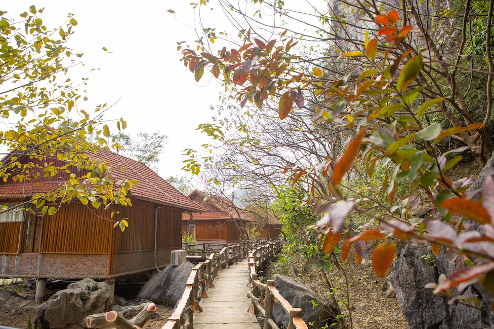 lotus field homestay