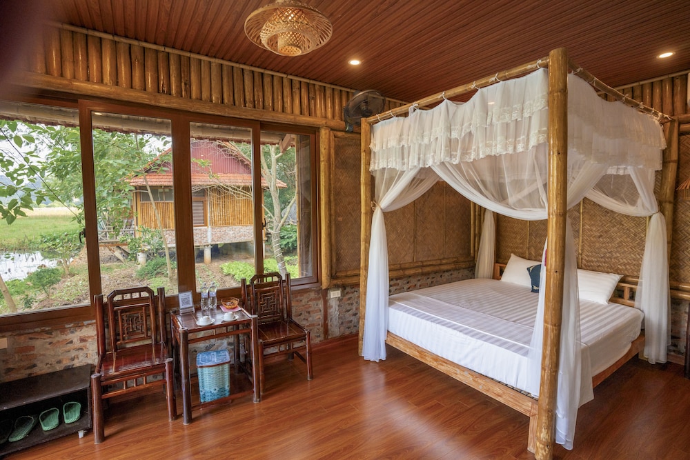 lotus field homestay