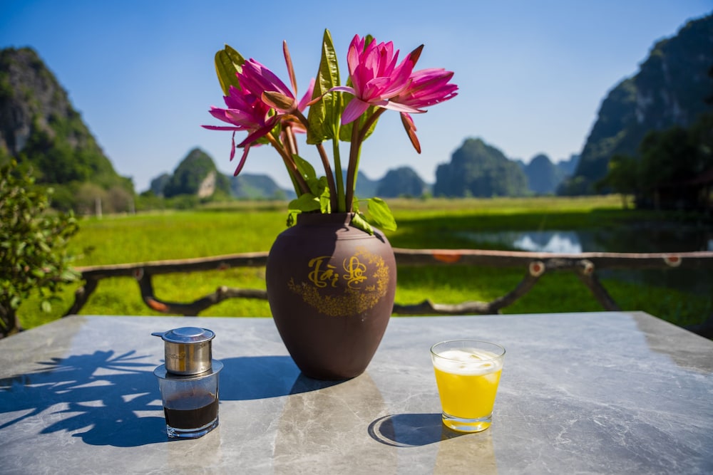 lotus field homestay