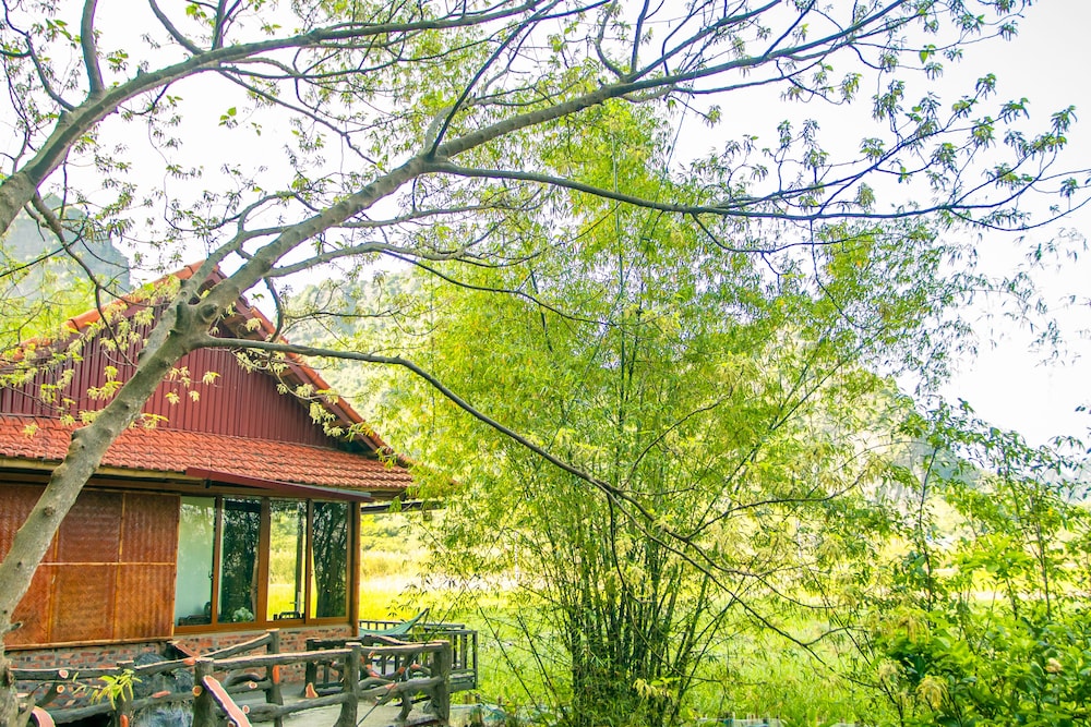 lotus field homestay