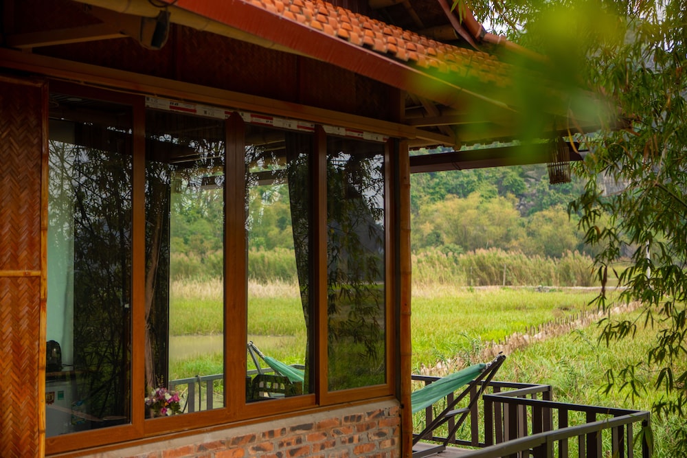 lotus field homestay