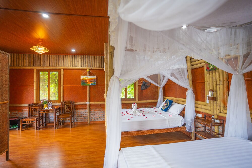 lotus field homestay
