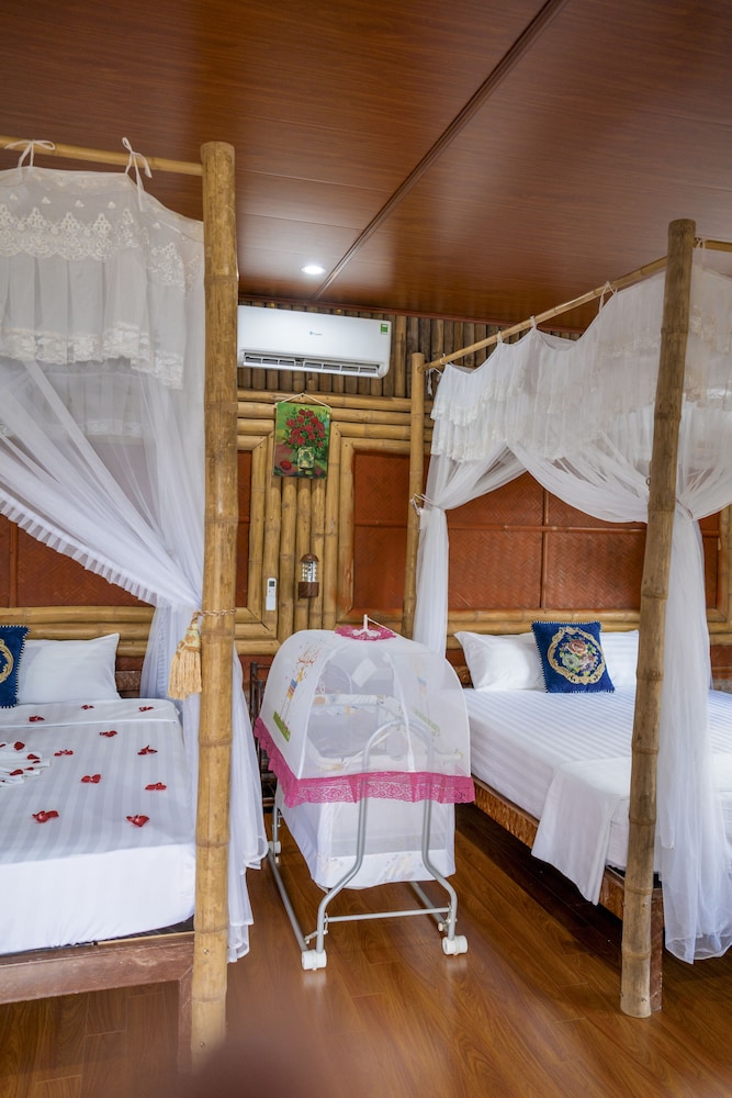 lotus field homestay