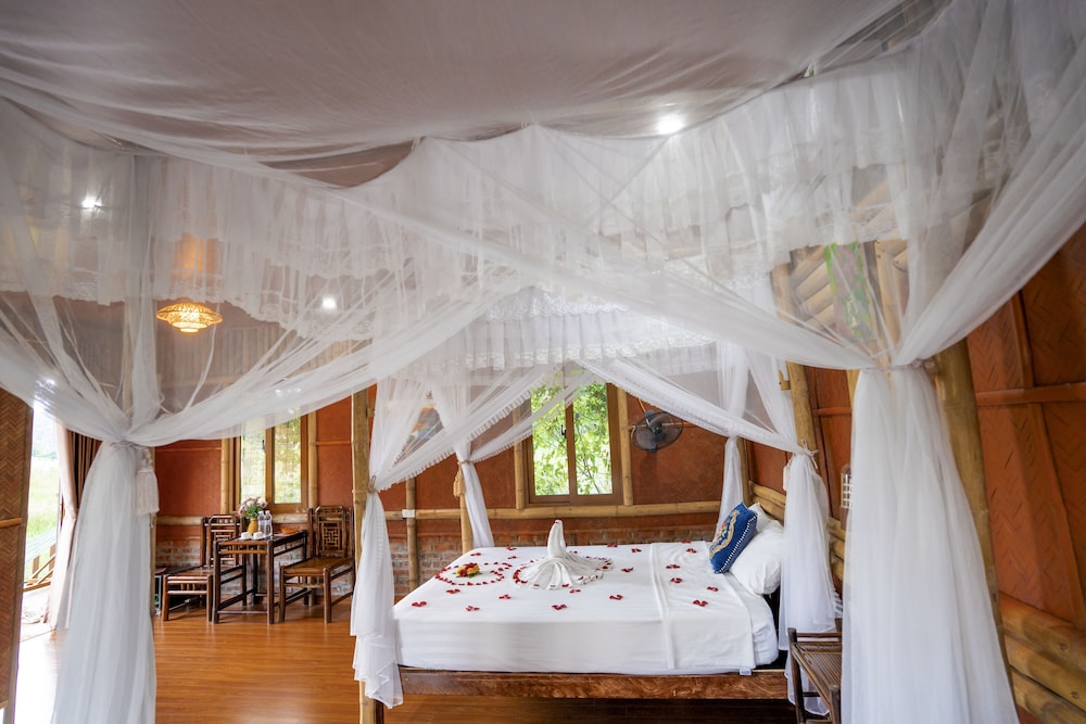 lotus field homestay