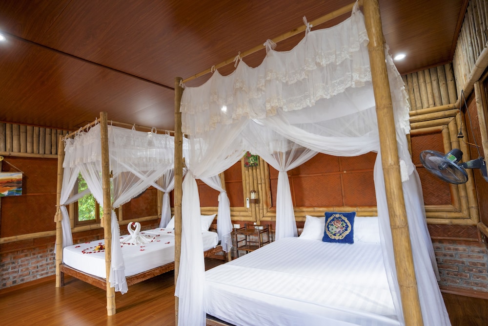 lotus field homestay