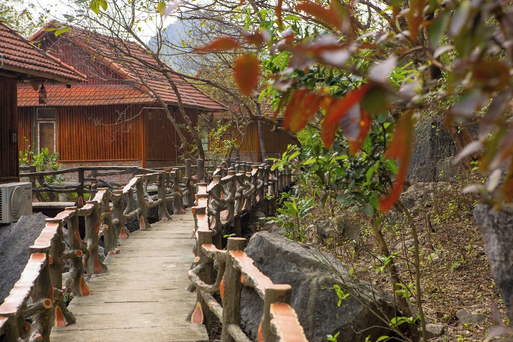 lotus field homestay