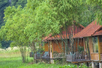 lotus field homestay