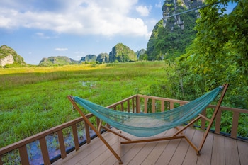 lotus field homestay