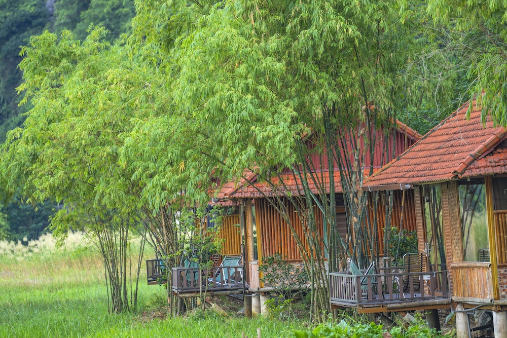 lotus field homestay