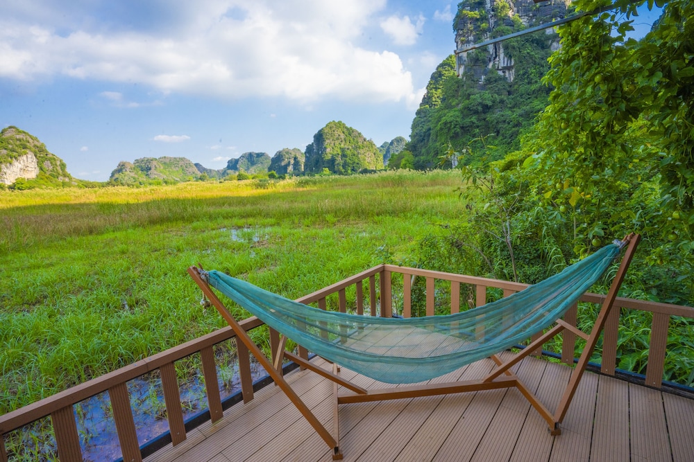 lotus field homestay
