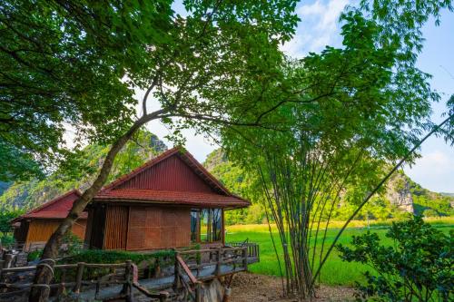 lotus field homestay