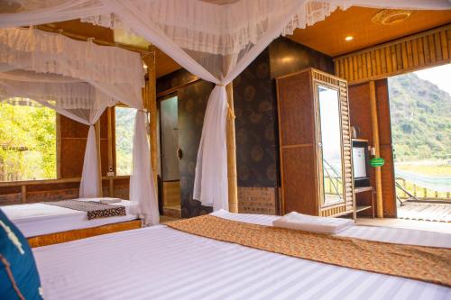 lotus field homestay