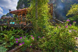 lotus field homestay