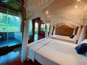 lotus field homestay