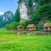 lotus field homestay