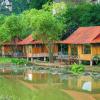 lotus field homestay