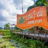 lotus field homestay