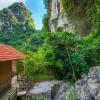 lotus field homestay