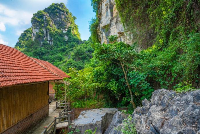 lotus field homestay