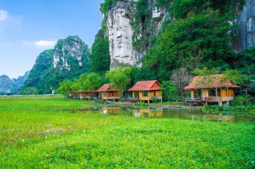 lotus field homestay