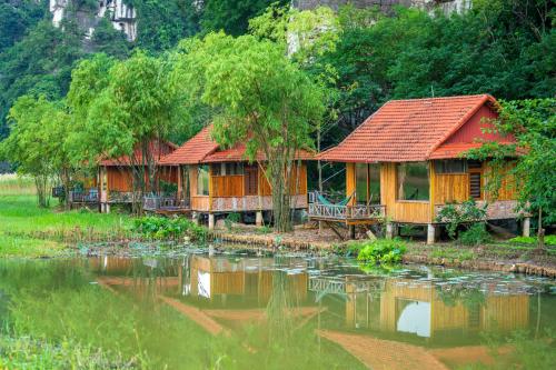 lotus field homestay