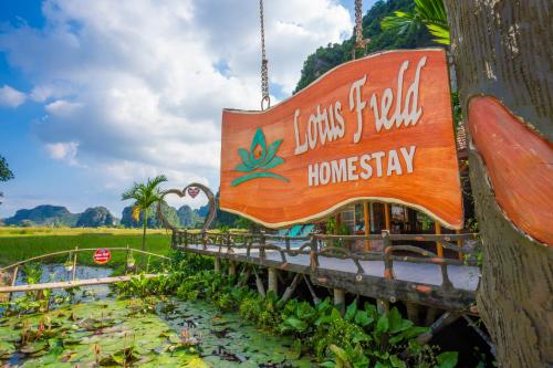 lotus field homestay