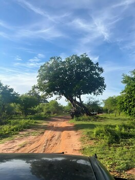 avian garden udawalawe