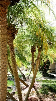 mercure charlestown