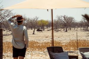 safari house