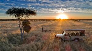 safari house