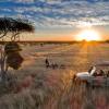 safari house