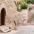 assisi