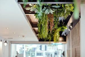 three sukhumvit hotel