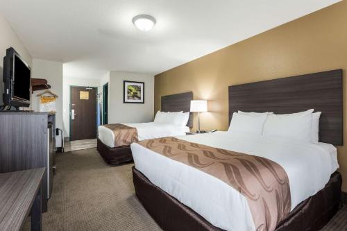 quality inn