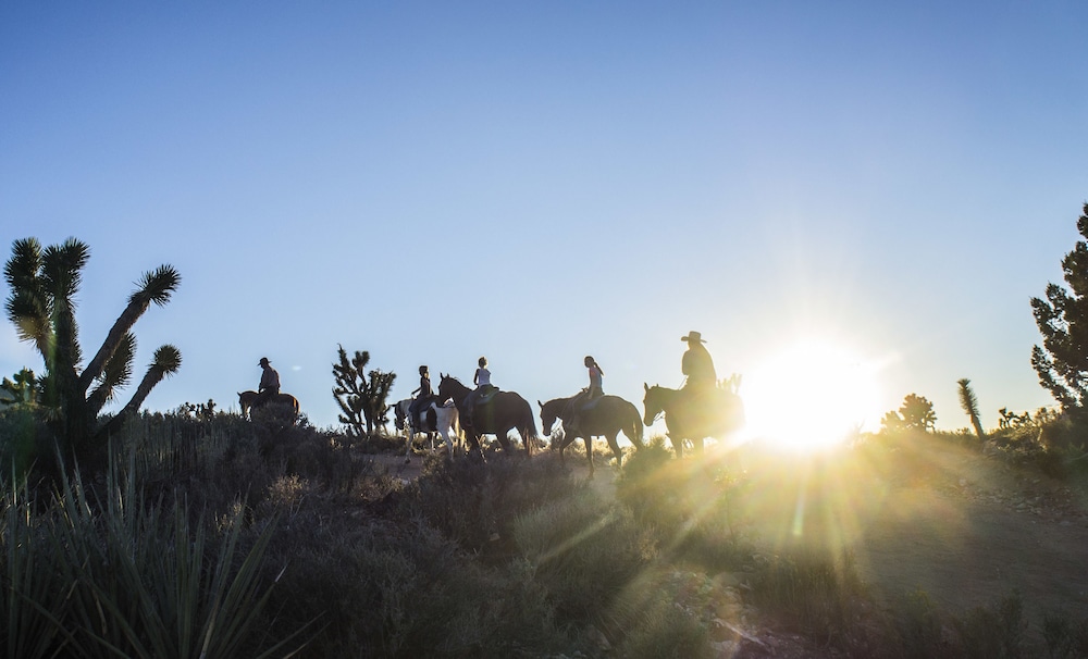 grand canyon western ranch
